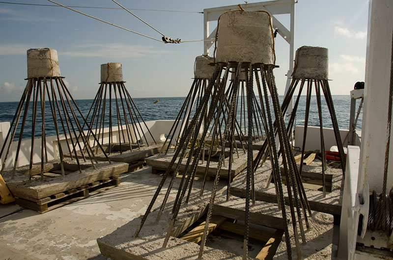Pre-designed reefs.